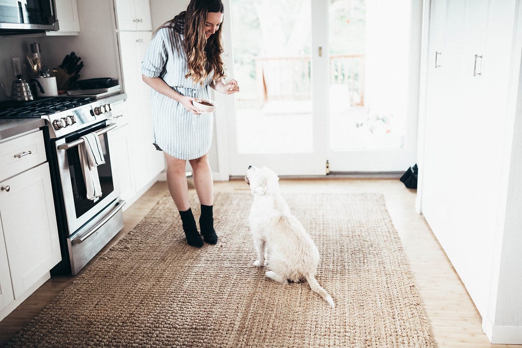 Freshpet - LOLA'S ADOPTION STORY AND HER FAVORITE FOOD: FRESHPET by popular San Francisco lifestyle blogger, Just Add Glam
