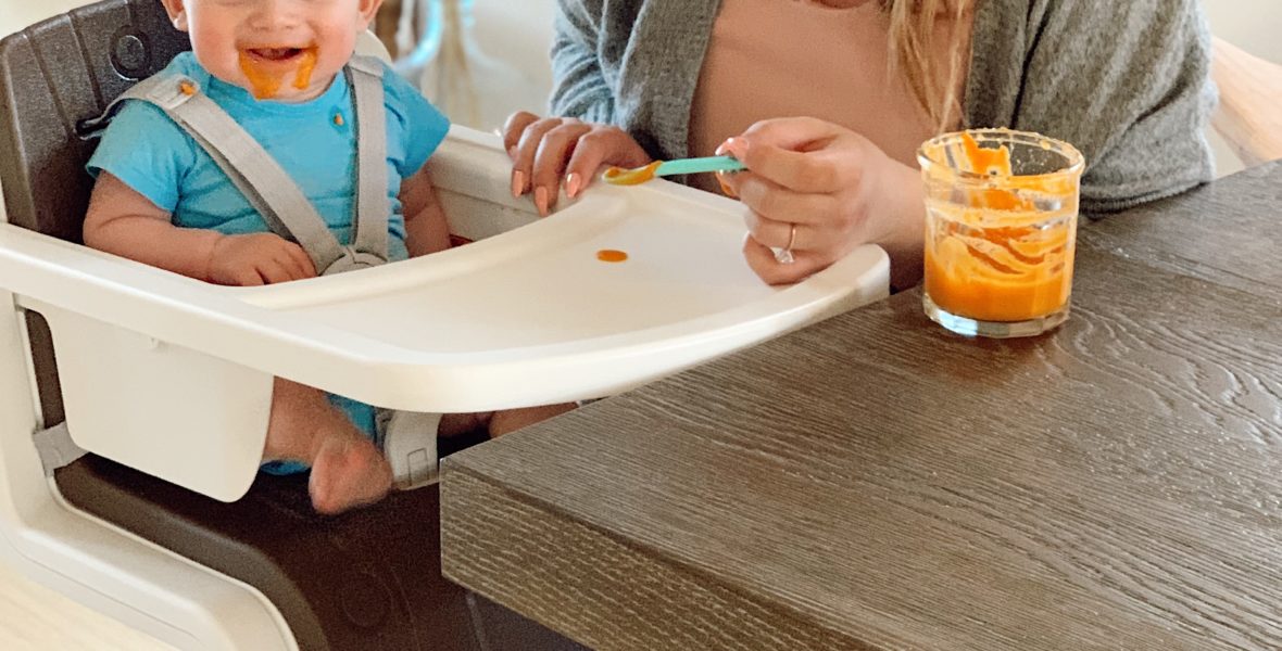 DIY baby food purees